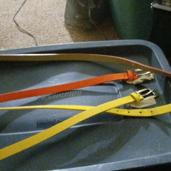 Two lane Bryant belts - Picture 1 of 3